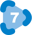 7